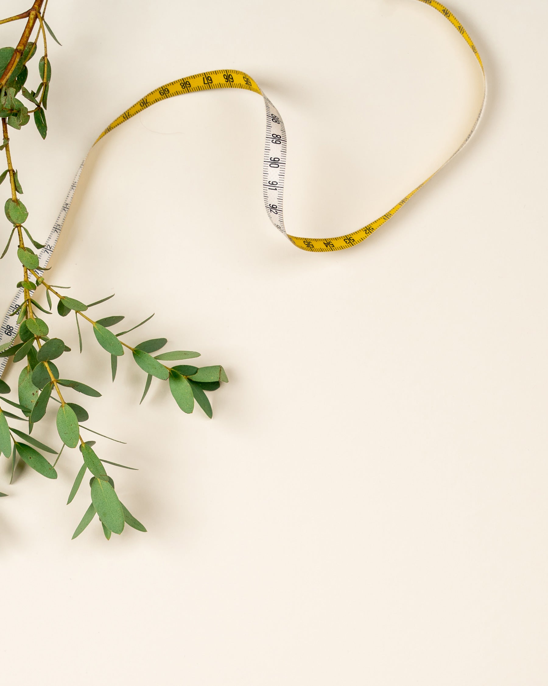 Mittanauha Toive Company.