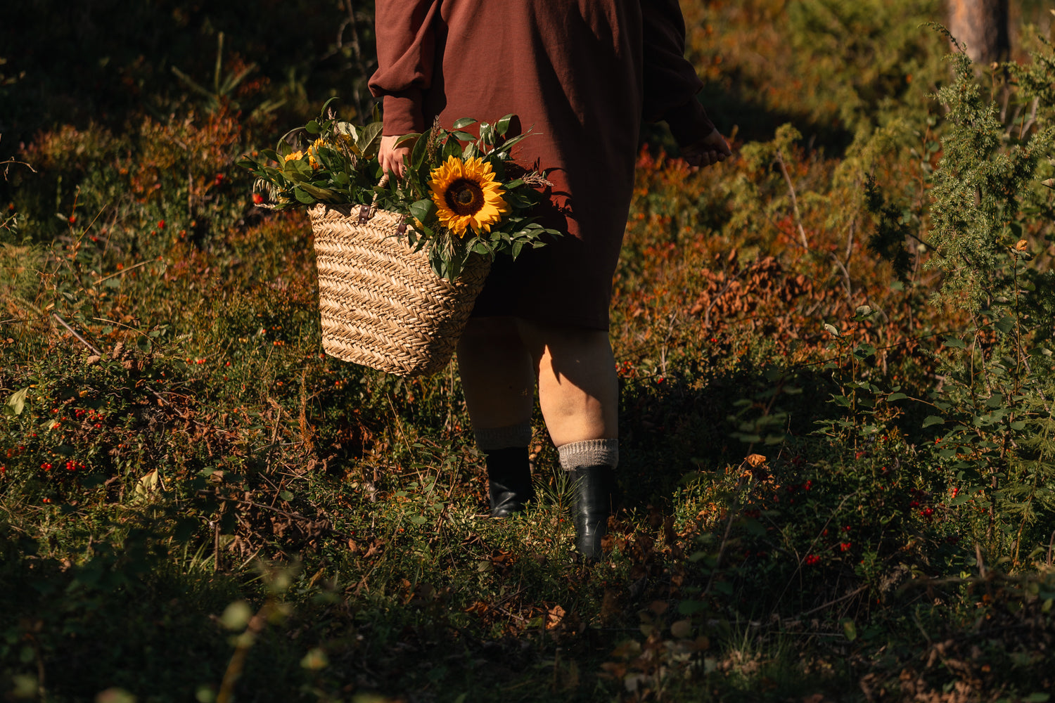 Ruosteenpunainen collegemekko.