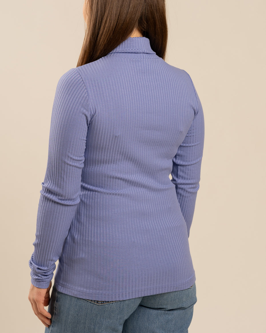 Ribbipoolo, lemmikki Toive